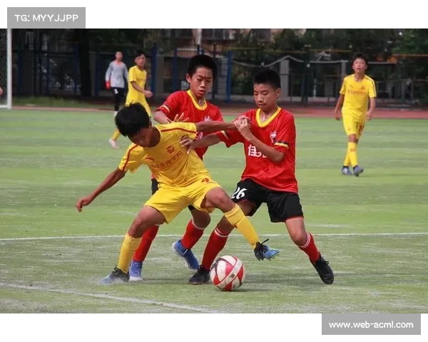 罗马俱乐部启动训练场扩建 青训设施全面升级 罗马俱乐部启动训练场扩建 青训设施全面升级